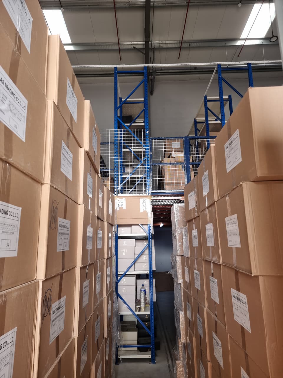 Perforated Boltfree Shelving Close-Up – Dubai Municipality Approved
